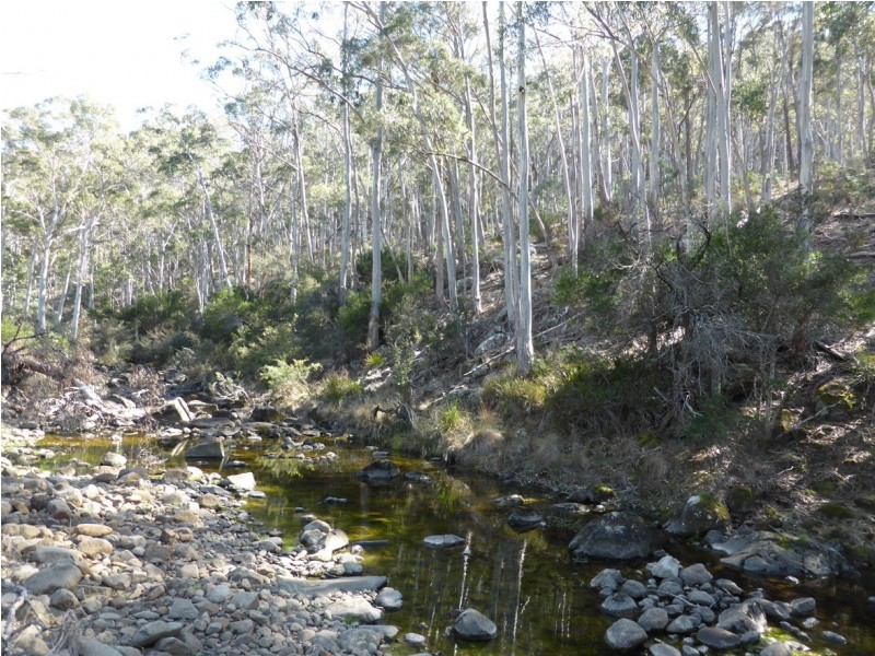 900 Swanston Road, Swanston TAS 7120