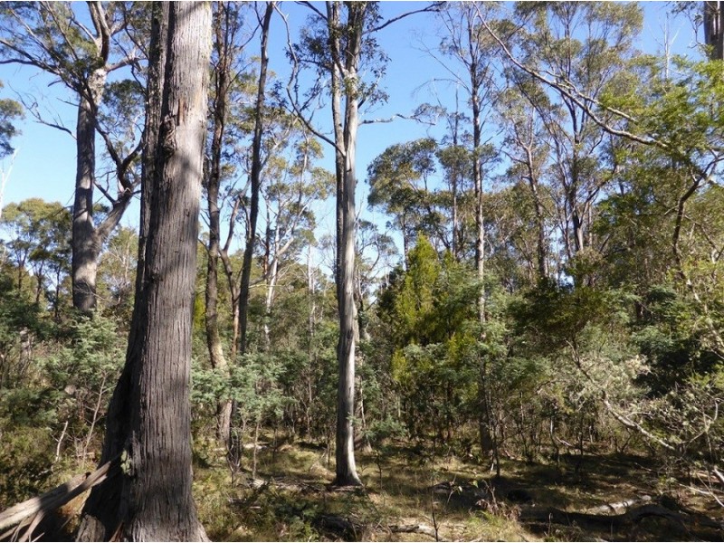 900 Swanston Road, Swanston TAS 7120