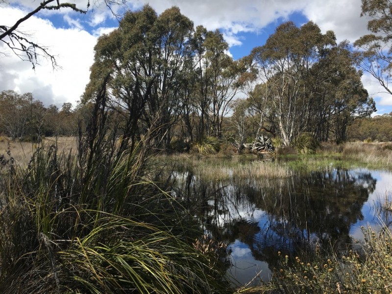 2005 Interlaken Road, Interlaken TAS 7030