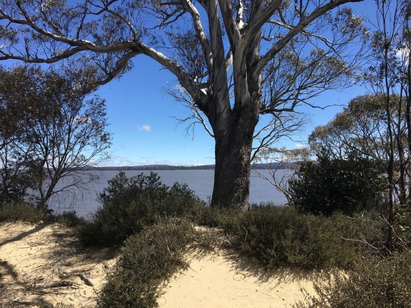 2005 Interlaken Road, Interlaken TAS 7030