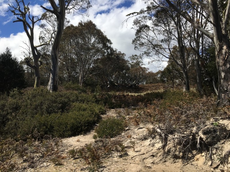 2005 Interlaken Road, Interlaken TAS 7030