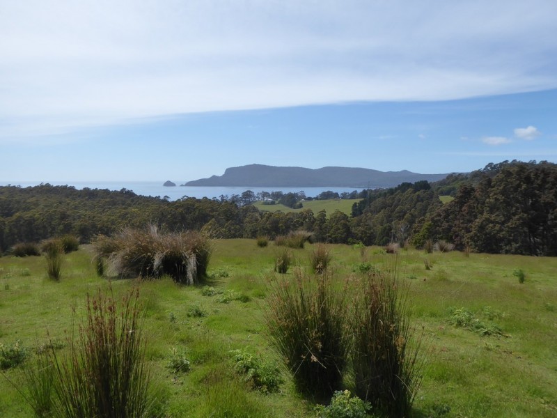 0 ‘Murrayville’  McPhersons Road, Adventure Bay TAS 7150