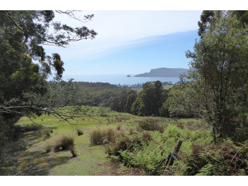 0 ‘Murrayville’  McPhersons Road, Adventure Bay TAS 7150