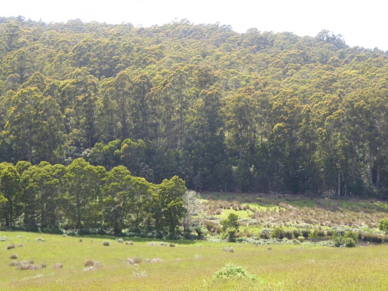0 ‘Murrayville’  McPhersons Road, Adventure Bay TAS 7150