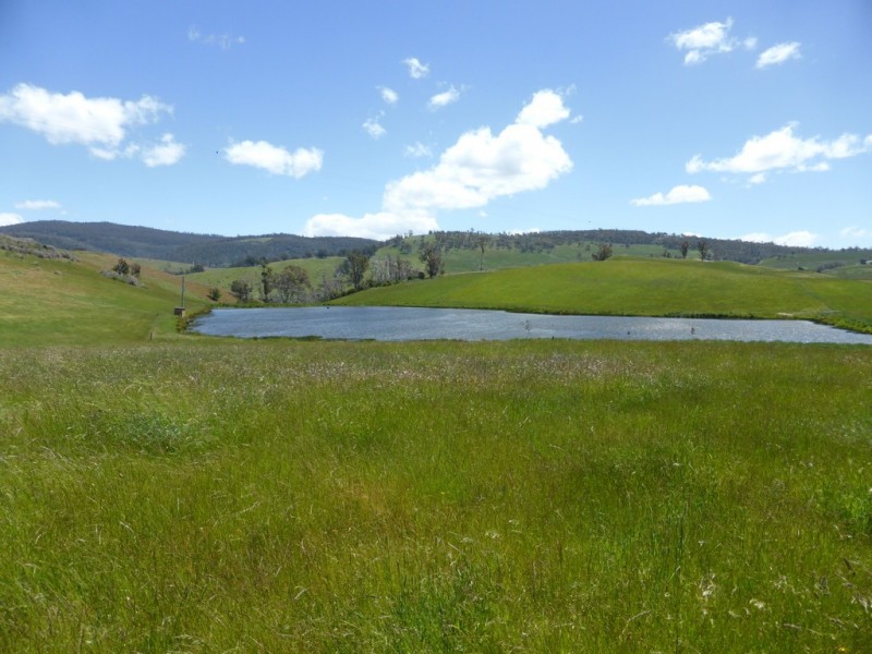 71 Rhyndaston Road, Colebrook TAS 7027