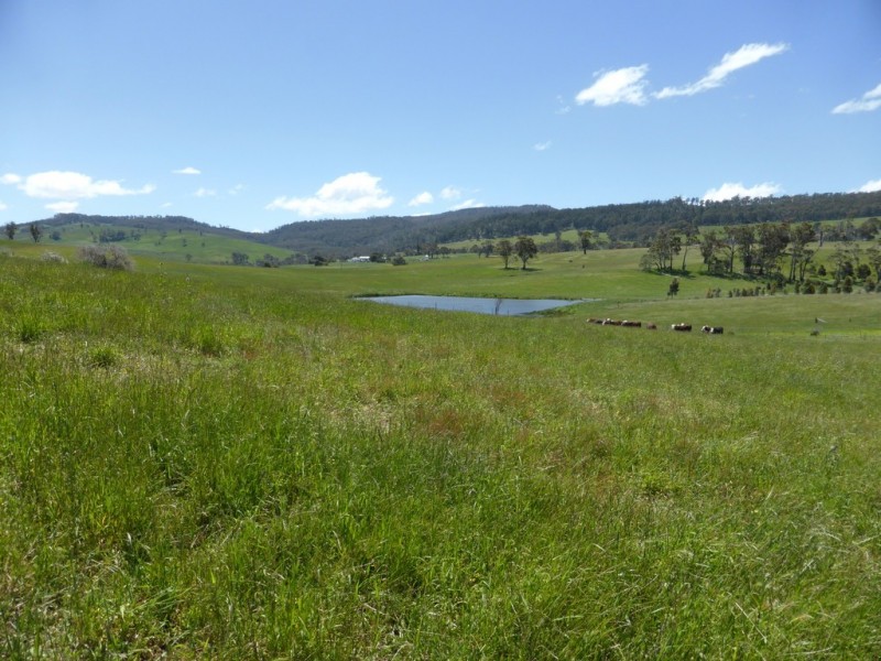 71 Rhyndaston Road, Colebrook TAS 7027