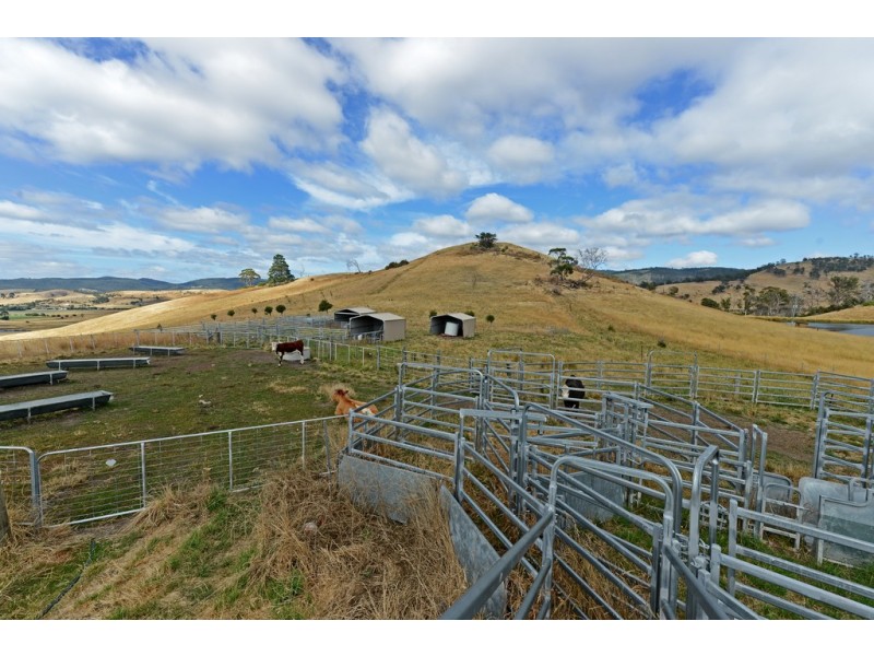 71 Rhyndaston Road, Colebrook TAS 7027