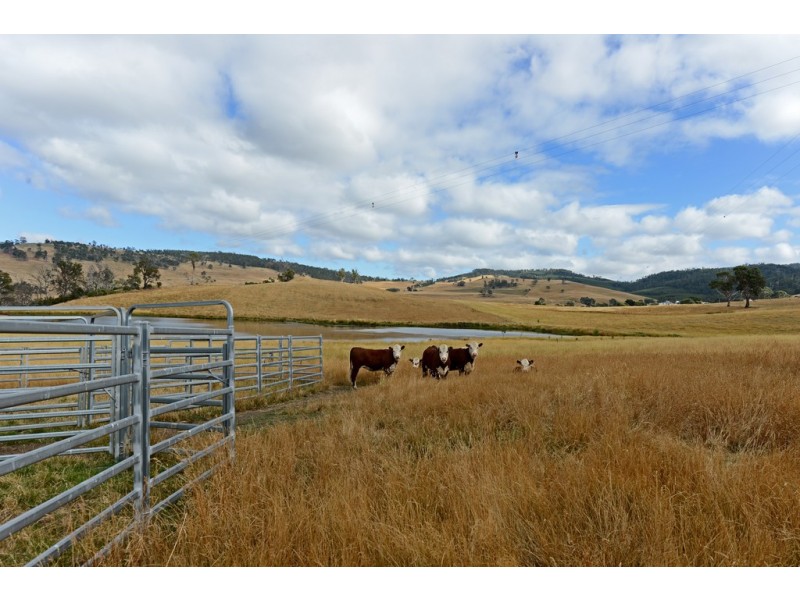 71 Rhyndaston Road, Colebrook TAS 7027