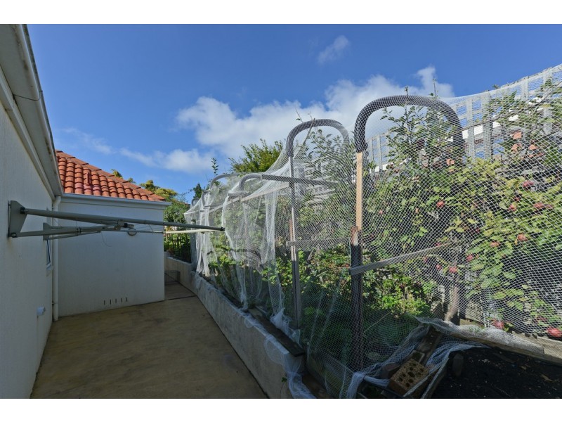 2/17 Rose Court, Sandy Bay TAS 7005