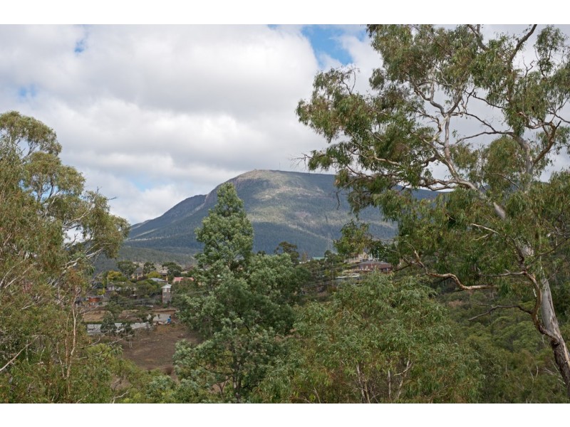 196 Springfield Avenue, West Moonah TAS 7009