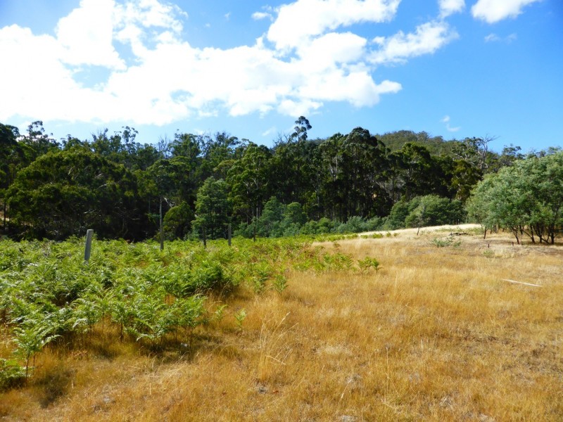 Lot 19 Hungry Flats Road, Colebrook TAS 7027