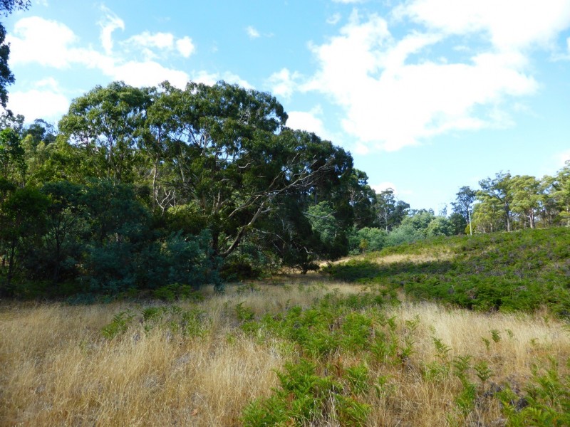 Lot 19 Hungry Flats Road, Colebrook TAS 7027