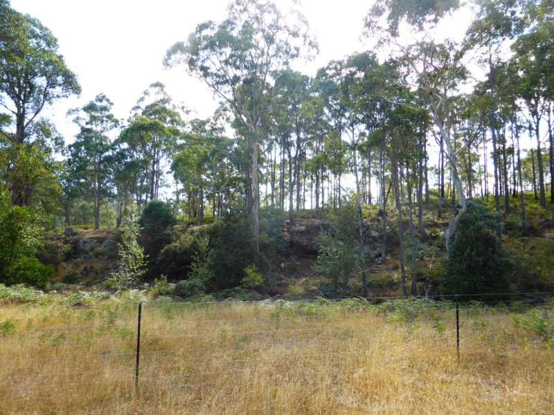 Lot 19 Hungry Flats Road, Colebrook TAS 7027