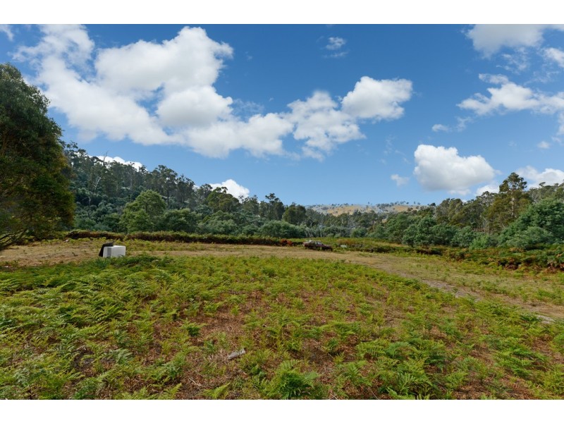 1405 Bluff Road, Elderslie TAS 7030