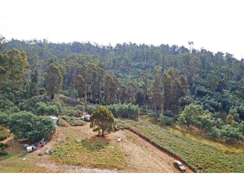 1405 Bluff Road, Elderslie TAS 7030