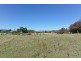 38 Dysart Drive, Dysart TAS 7030