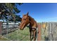 38 Dysart Drive, Dysart TAS 7030