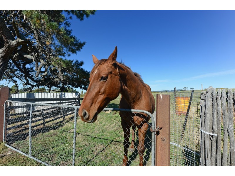 38 Dysart Drive, Dysart TAS 7030