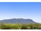 306 Redwood Road, Kingston TAS 7050
