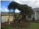 19 Amiens Avenue, Moonah TAS 7009