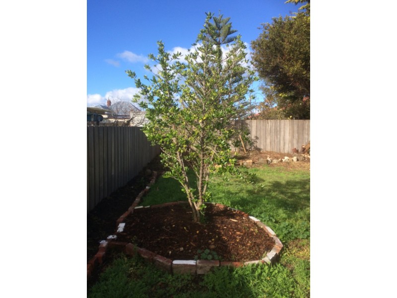 19 Amiens Avenue, Moonah TAS 7009