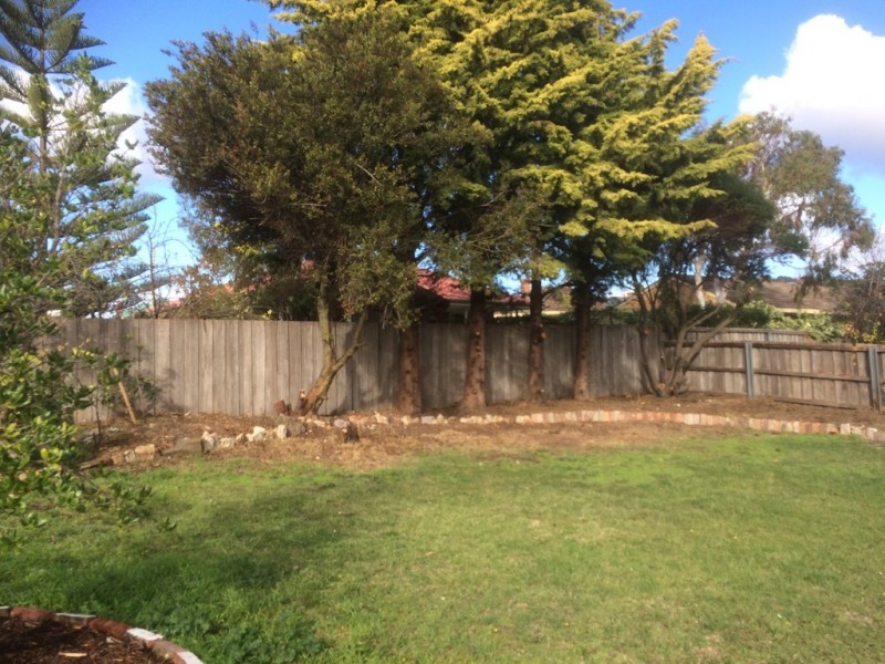 19 Amiens Avenue, Moonah TAS 7009