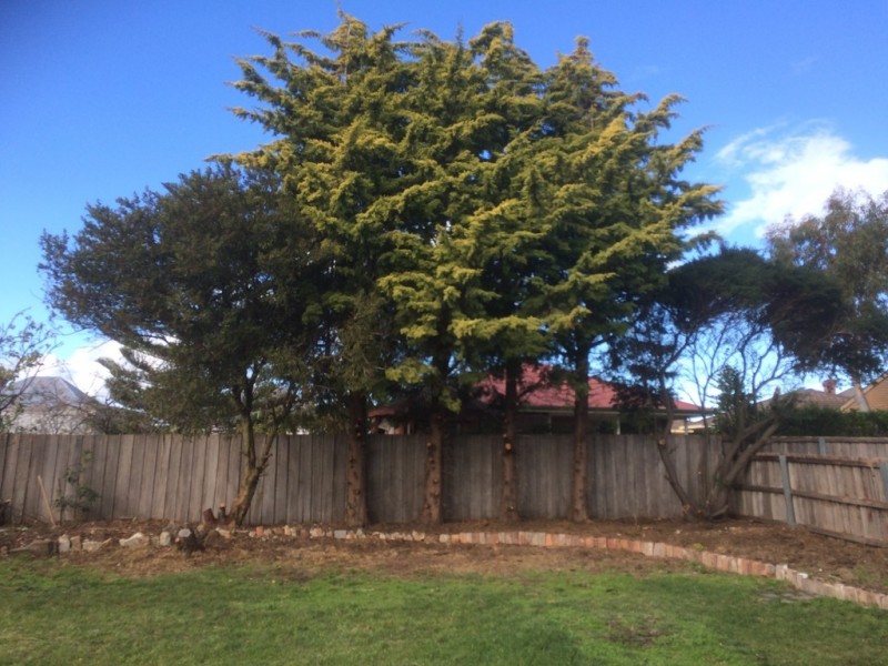 19 Amiens Avenue, Moonah TAS 7009