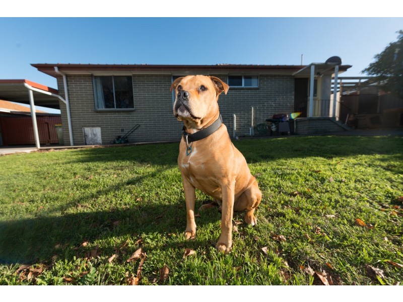 66 Gunn Street, Bridgewater TAS 7030