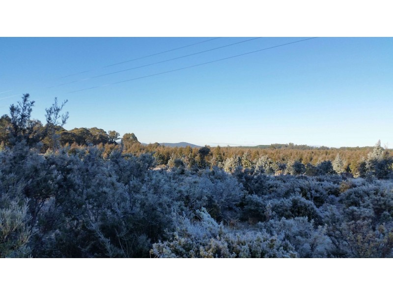 1734 Fourteen Mile Road, Bronte Park TAS 7140