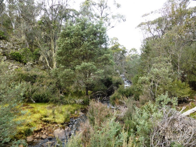 1734 Fourteen Mile Road, Bronte Park TAS 7140