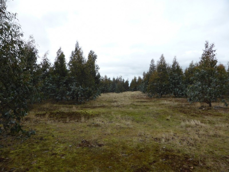 1734 Fourteen Mile Road, Bronte Park TAS 7140