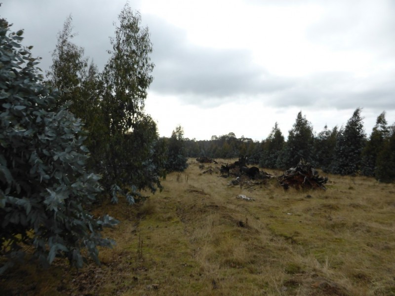 1734 Fourteen Mile Road, Bronte Park TAS 7140