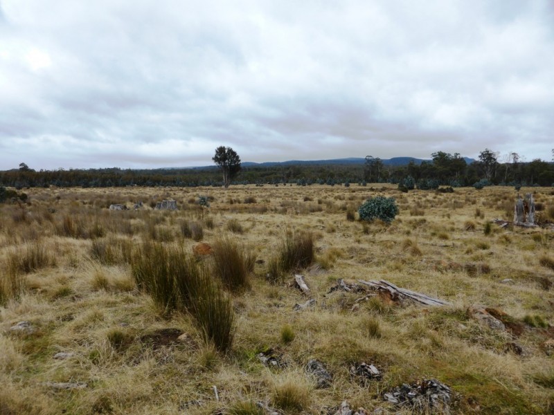 1734 Fourteen Mile Road, Bronte Park TAS 7140