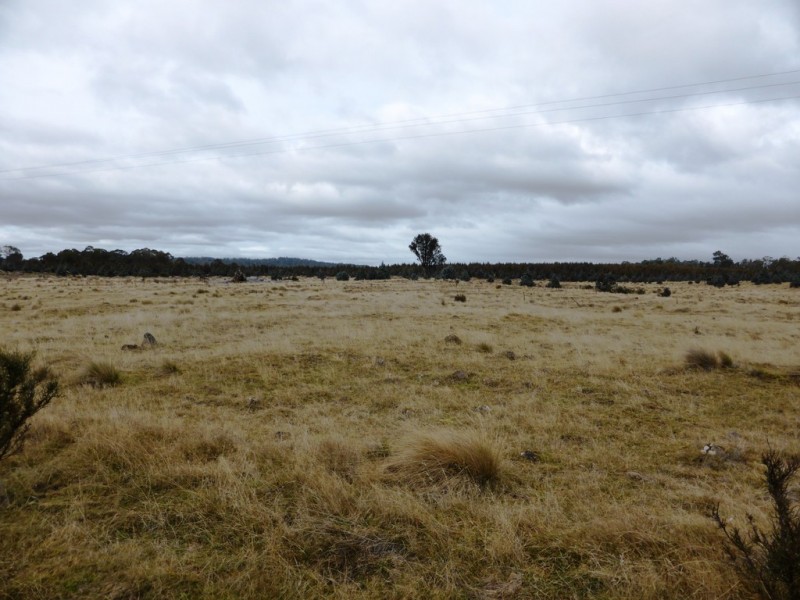 1734 Fourteen Mile Road, Bronte Park TAS 7140