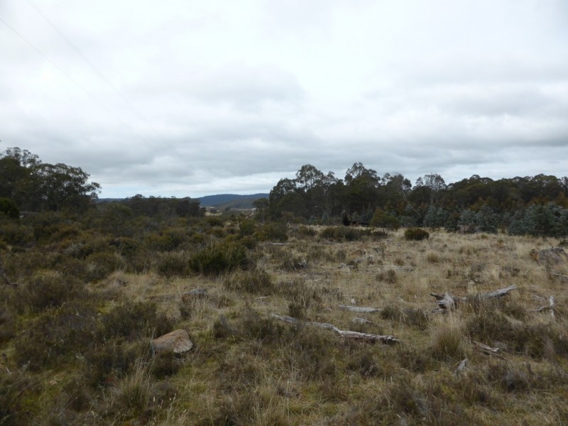 1734 Fourteen Mile Road, Bronte Park TAS 7140