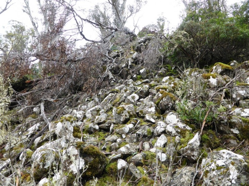 1734 Fourteen Mile Road, Bronte Park TAS 7140