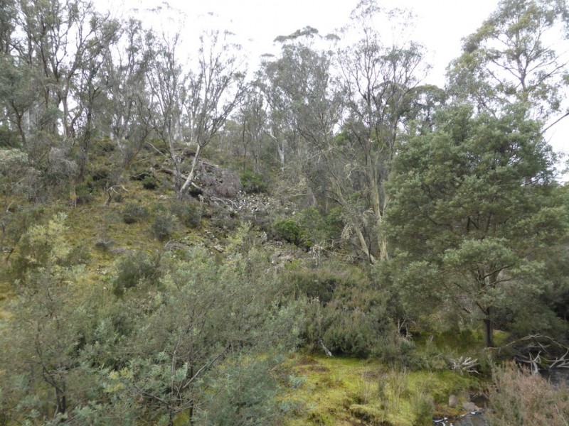 1734 Fourteen Mile Road, Bronte Park TAS 7140