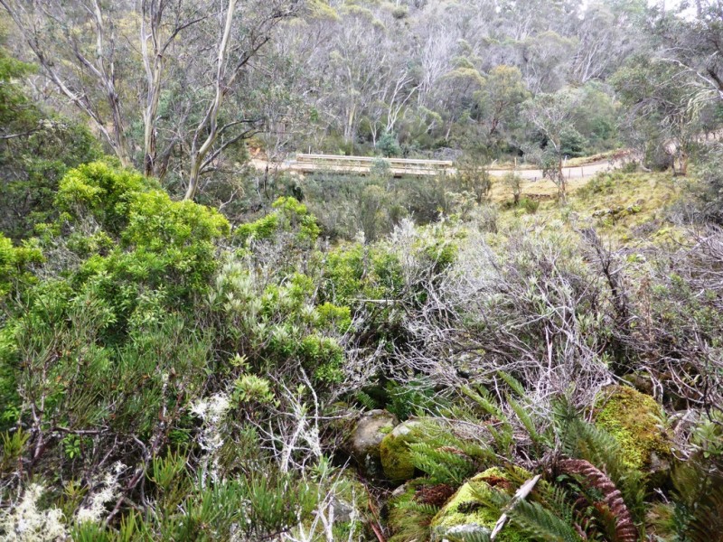 1734 Fourteen Mile Road, Bronte Park TAS 7140