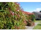 393 Village Drive, Kingston TAS 7050