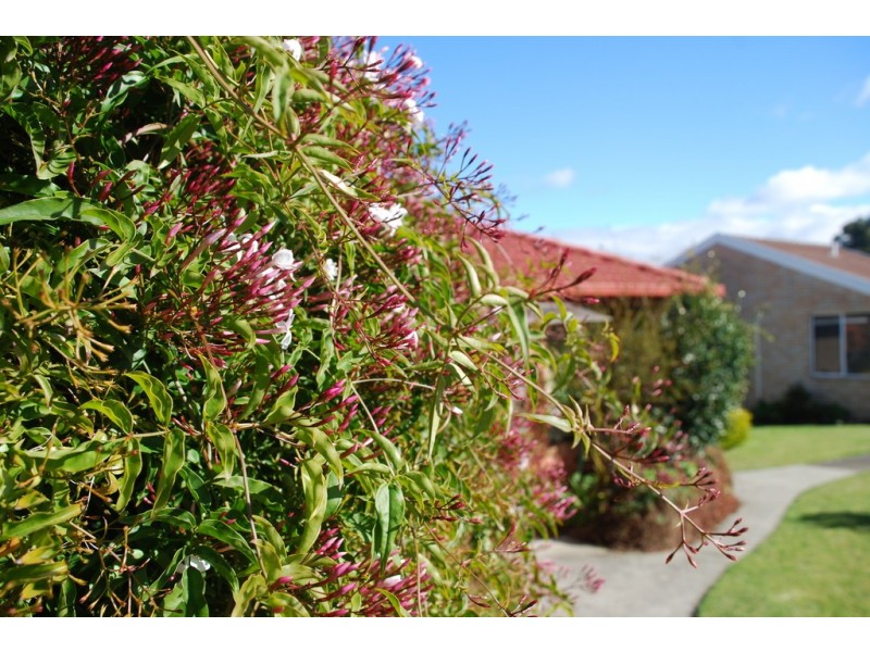 393 Village Drive, Kingston TAS 7050