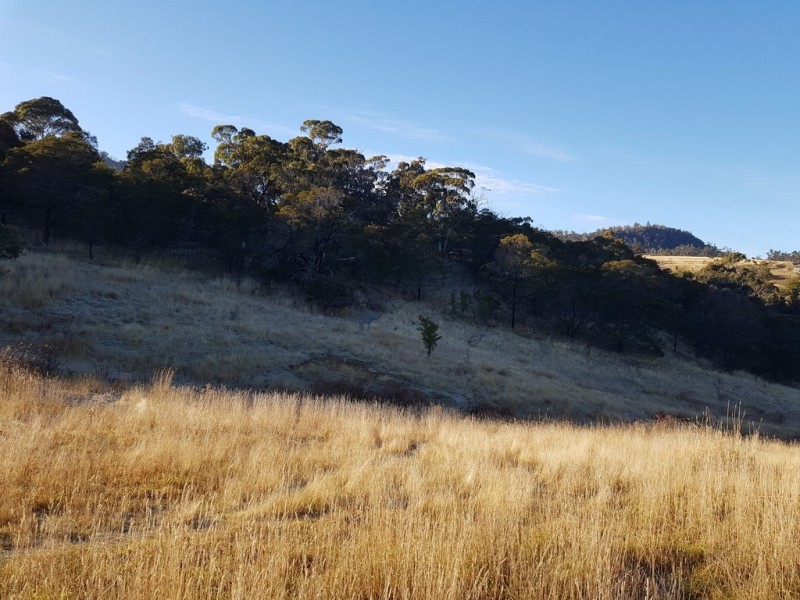 36 Yellow Brick Road, Old Beach TAS 7017