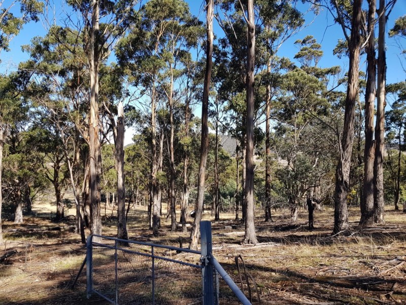 0 Nonesuch Road, Wattle Hill TAS 7172