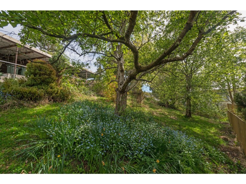 6 Alcides Avenue, Lenah Valley TAS 7008