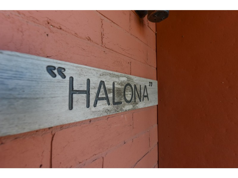 31 Anglesea Street, South Hobart TAS 7004