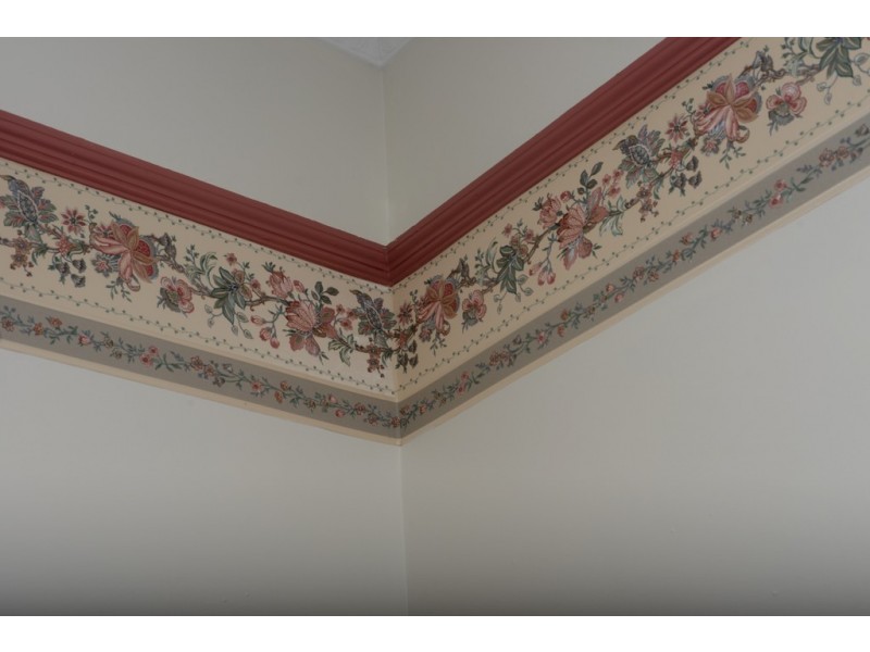 31 Anglesea Street, South Hobart TAS 7004