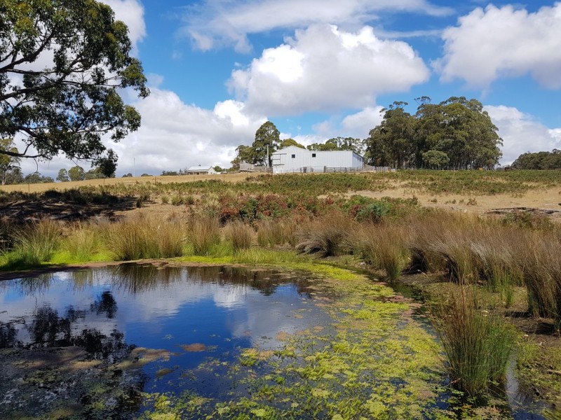Lot 2, 909 New Country Marsh Road, Tunnack TAS 7120