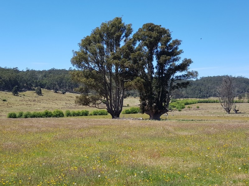 Lot 2, 909 New Country Marsh Road, Tunnack TAS 7120
