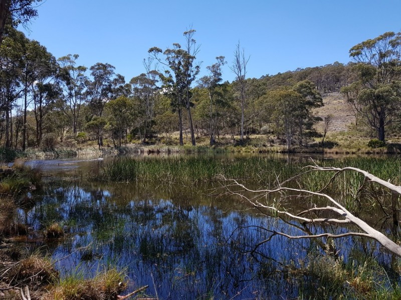 Lot 2, 909 New Country Marsh Road, Tunnack TAS 7120