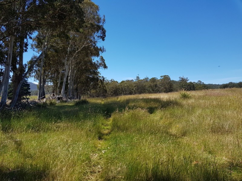 Lot 2, 909 New Country Marsh Road, Tunnack TAS 7120