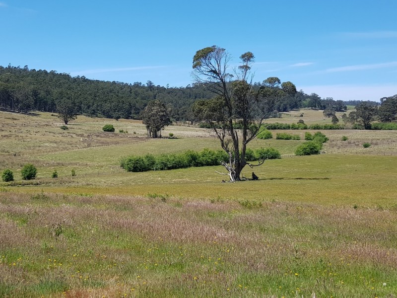 Lot 1, 909 New Country Marsh Road, Tunnack TAS 7120